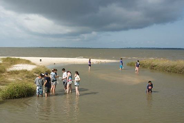 Teacher with students at the Marine Bio Camp