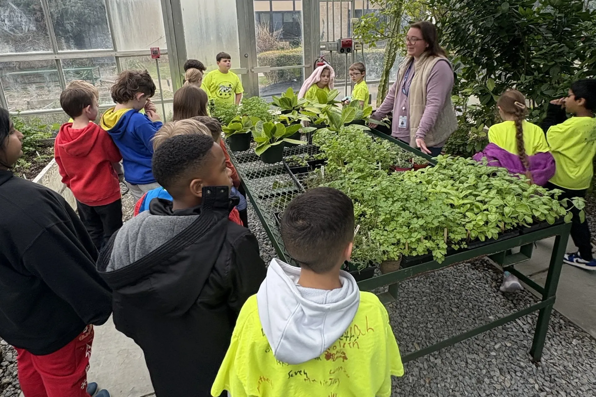 Mr. Bencivenga and Mrs. Kost's Third Graders Explore the Levittown Memorial Outdoor Learning Center - image003