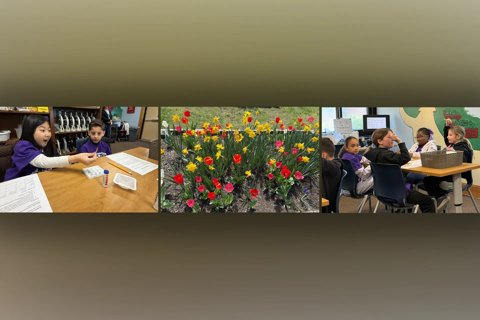 Mrs. Suriano's 3rd grade class went to the Outdoor Learning Center.