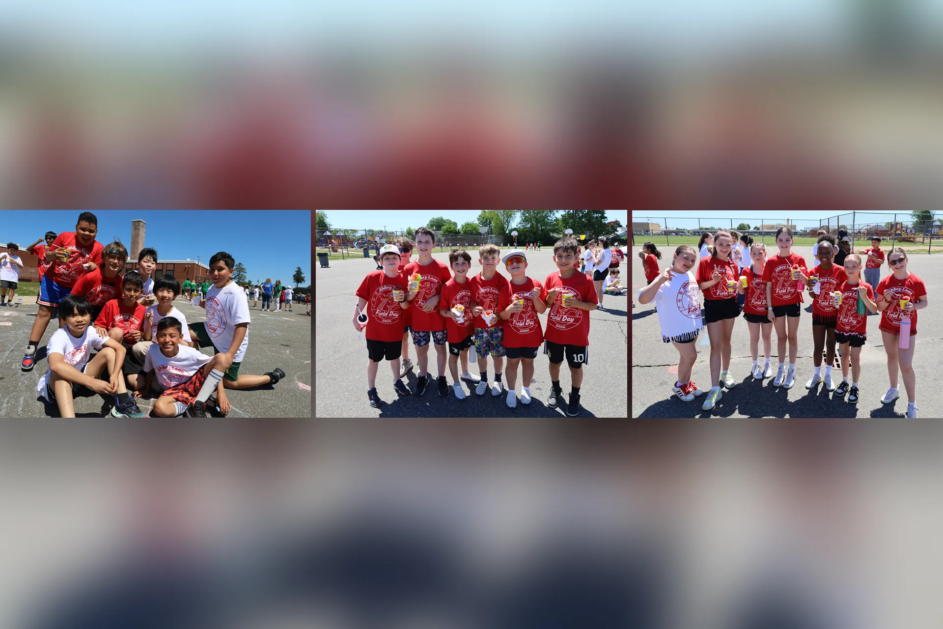 Abbey Lane Students Celebrate A Year Of Success With Field Day