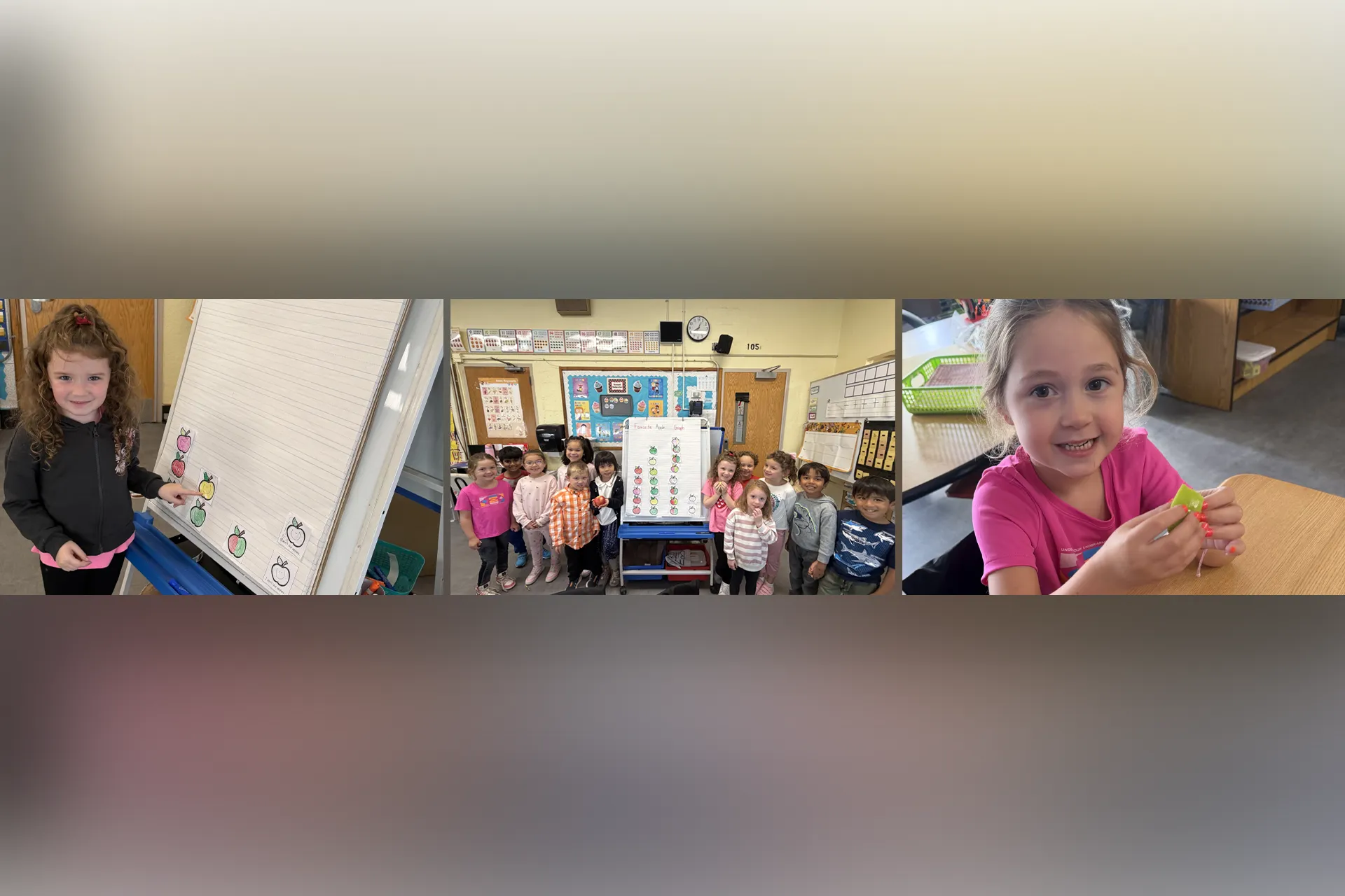 Mrs. Carpentier and Ms. Mele's kindergartners have been learning all about the life cycle of an apple and the different parts of an apple.